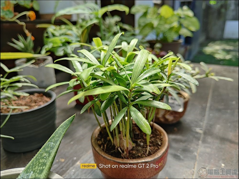 realme GT2 Pro 拍攝樣張 - 18 realme GT2 Pro 拍攝樣張 - 18