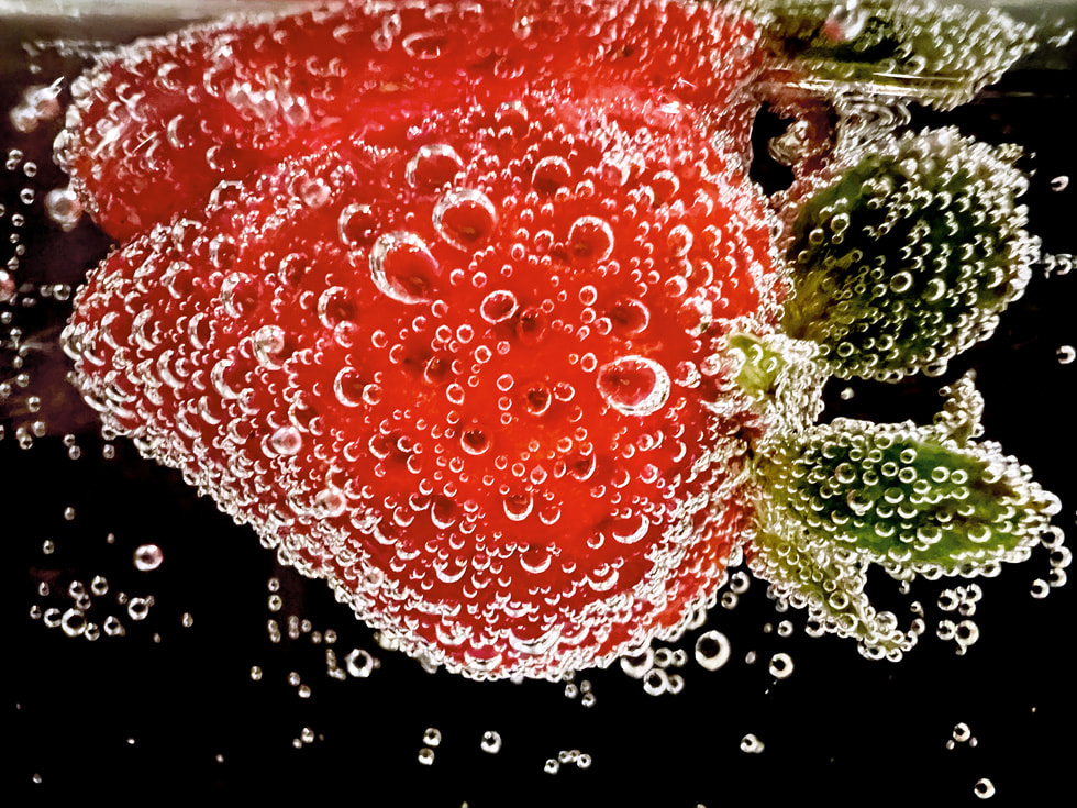 Apple 揭曉微距攝影 Shot on iPhone Challenge 10件最佳照片 - 電腦王阿達 Apple 揭曉微距攝影 Shot on iPhone Challenge 10件最佳照片 - 電腦王阿達