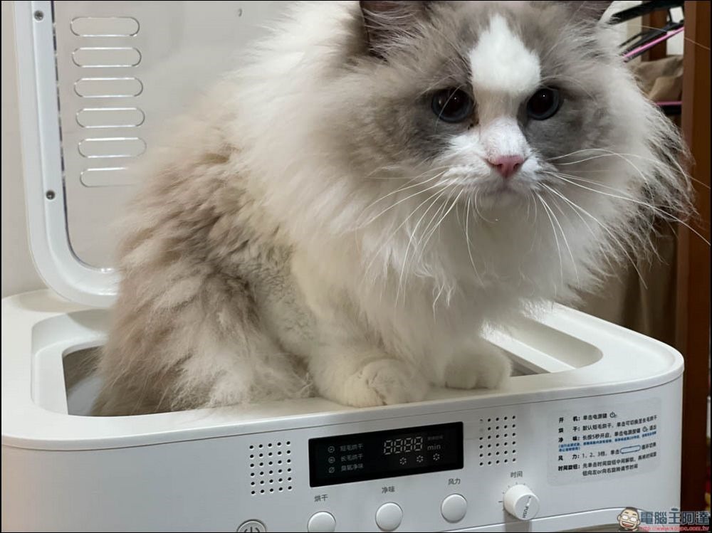 Pet Marvel 寵物烘毛箱 開箱 - 10 Pet Marvel 寵物烘毛箱 開箱 - 10