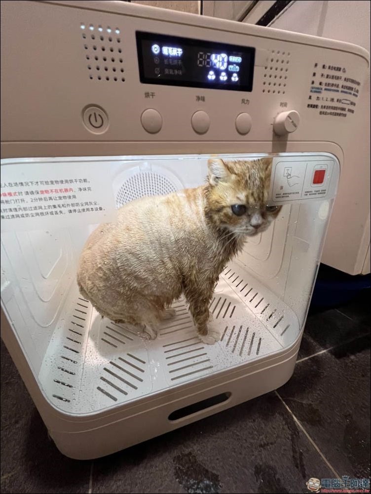 Pet Marvel 寵物烘毛箱 開箱 - 18 Pet Marvel 寵物烘毛箱 開箱 - 18