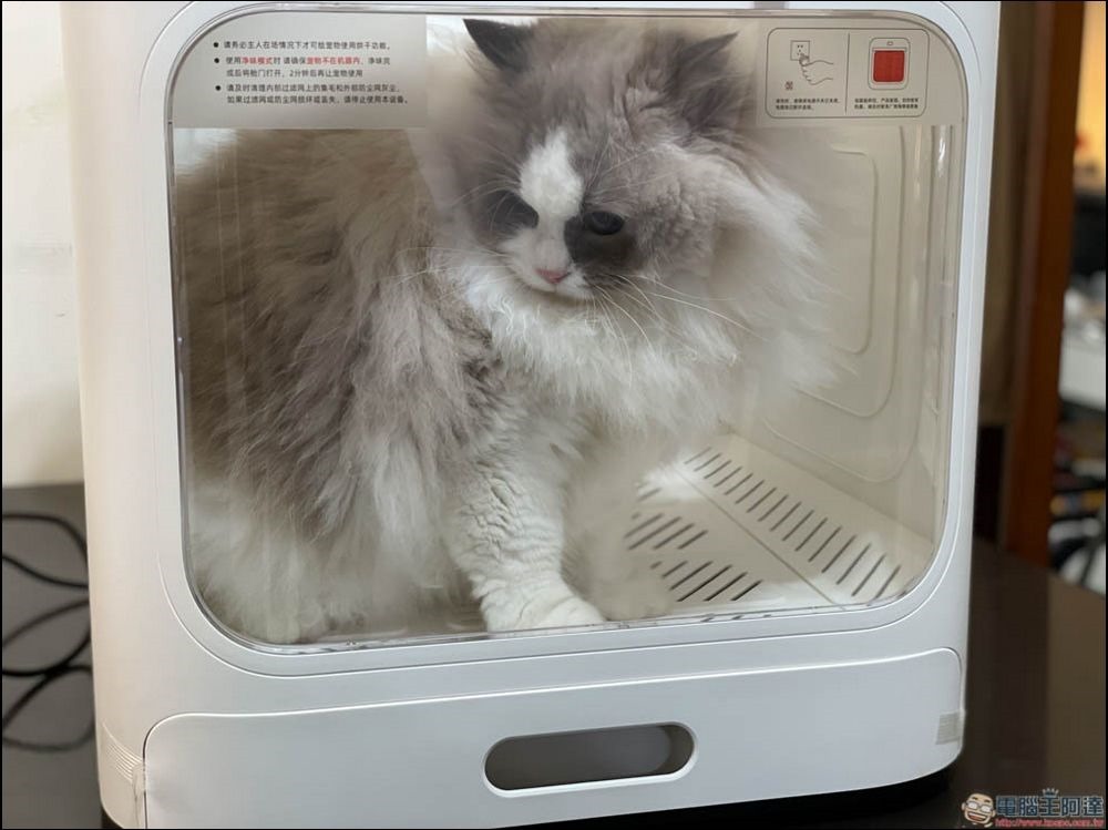 Pet Marvel 寵物烘毛箱 開箱 - 20 Pet Marvel 寵物烘毛箱 開箱 - 20