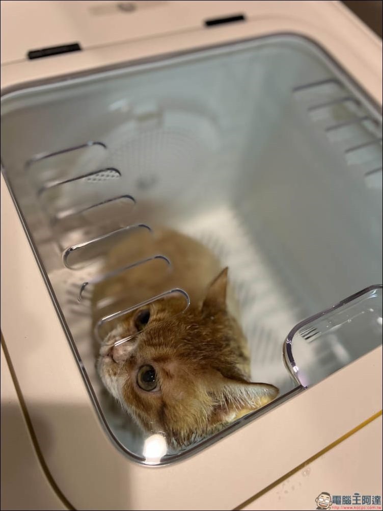 Pet Marvel 寵物烘毛箱 開箱 - 23 Pet Marvel 寵物烘毛箱 開箱 - 23