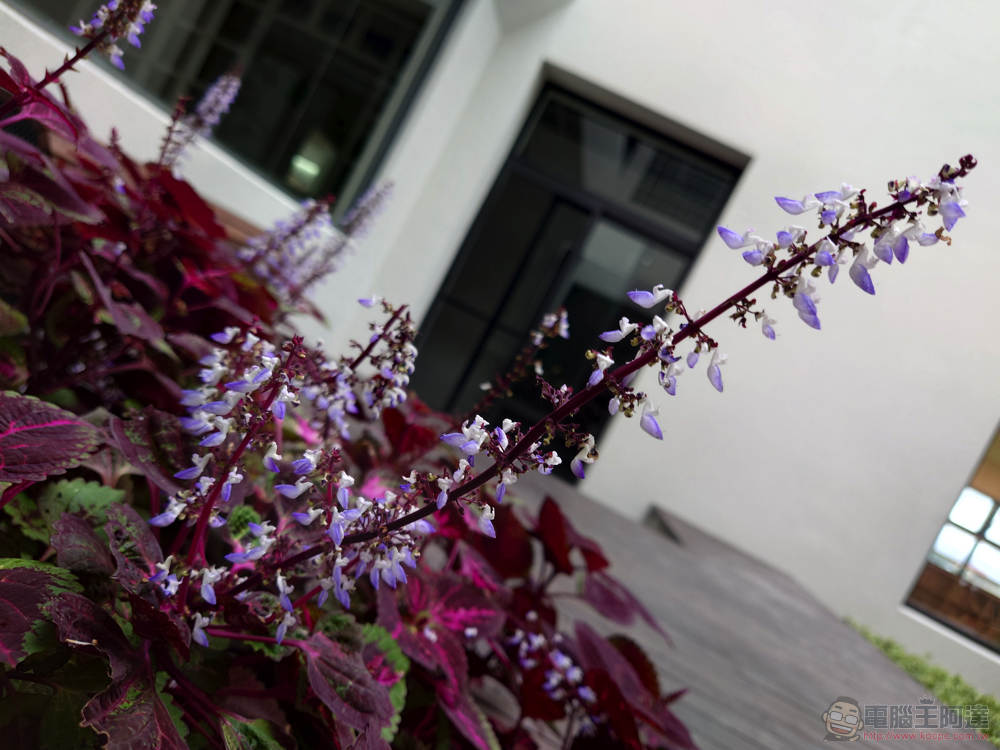 美型極速旗艦 Sony Xperia 1 IV 重點實測:三鏡頭 4K 120FPS 錄影、無縫光學變焦的黑科技相機手機 - 電腦王阿達 美型極速旗艦 Sony Xperia 1 IV 重點實測:三鏡頭 4K 120FPS 錄影、無縫光學變焦的黑科技相機手機 - 電腦王阿達
