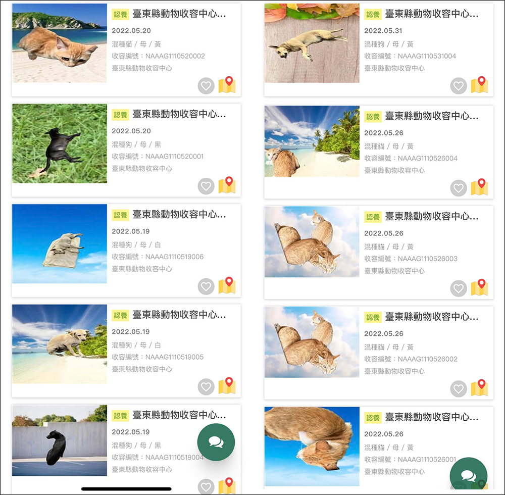 臺東縣動物收容中心製作一系列去背、加上情境背景的毛小孩認養照,網友表示:笑死XD - 電腦王阿達 臺東縣動物收容中心製作一系列去背、加上情境背景的毛小孩認養照,網友表示:笑死XD - 電腦王阿達