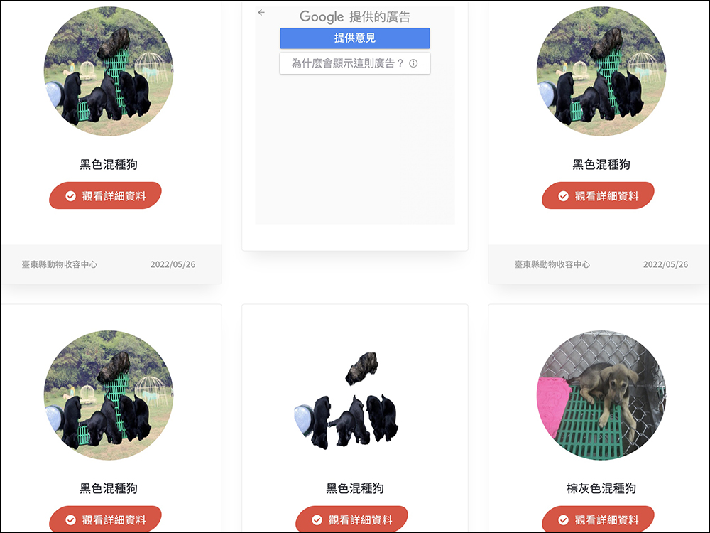 臺東縣動物收容中心製作一系列去背、加上情境背景的毛小孩認養照,網友表示:笑死XD - 電腦王阿達 臺東縣動物收容中心製作一系列去背、加上情境背景的毛小孩認養照,網友表示:笑死XD - 電腦王阿達
