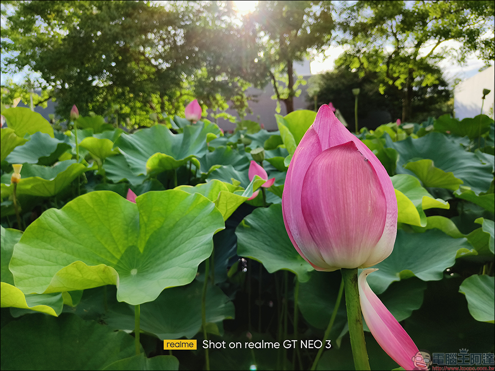 realme GT Neo3 開箱、評測|為賽道而生的潮玩電競旗艦手機 - 電腦王阿達 realme GT Neo3 開箱、評測|為賽道而生的潮玩電競旗艦手機 - 電腦王阿達