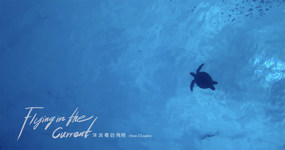 洋流裡的飛翔創作訪談 洋流裡的飛翔創作訪談