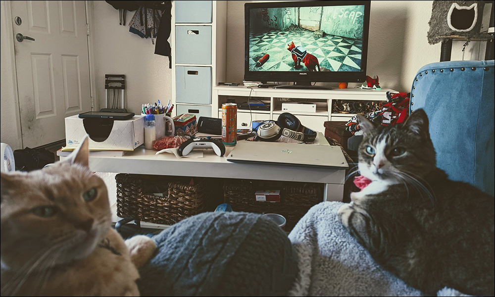 冒險遊戲《浪貓 stray》太過真實，令全球貓主子都沉迷其中 - 電腦王阿達