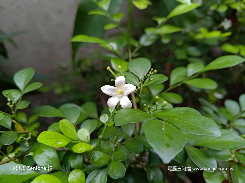 ASUS Zenfone 9 開箱、實測、實拍:輕巧單手剛剛好,操作、續航更美好 - 電腦王阿達 ASUS Zenfone 9 開箱、實測、實拍:輕巧單手剛剛好,操作、續航更美好 - 電腦王阿達