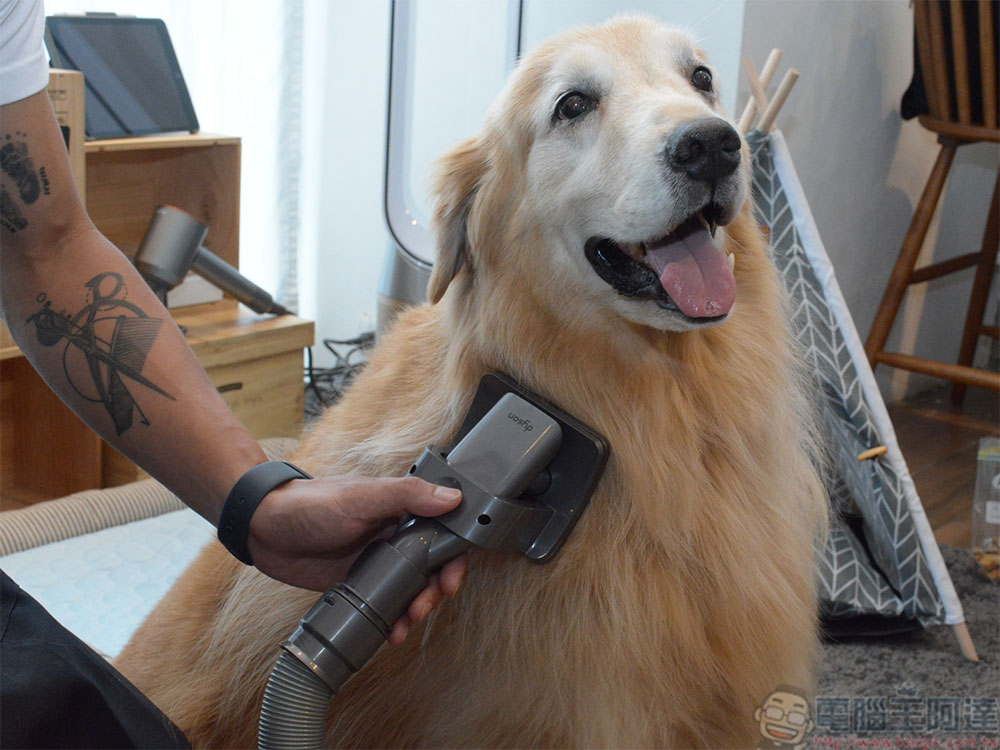 萌寵當家!全新 Dyson「寵物毛髮清潔工具組」配件組讓落毛不再隨風飄散 - 電腦王阿達 萌寵當家!全新 Dyson「寵物毛髮清潔工具組」配件組讓落毛不再隨風飄散 - 電腦王阿達