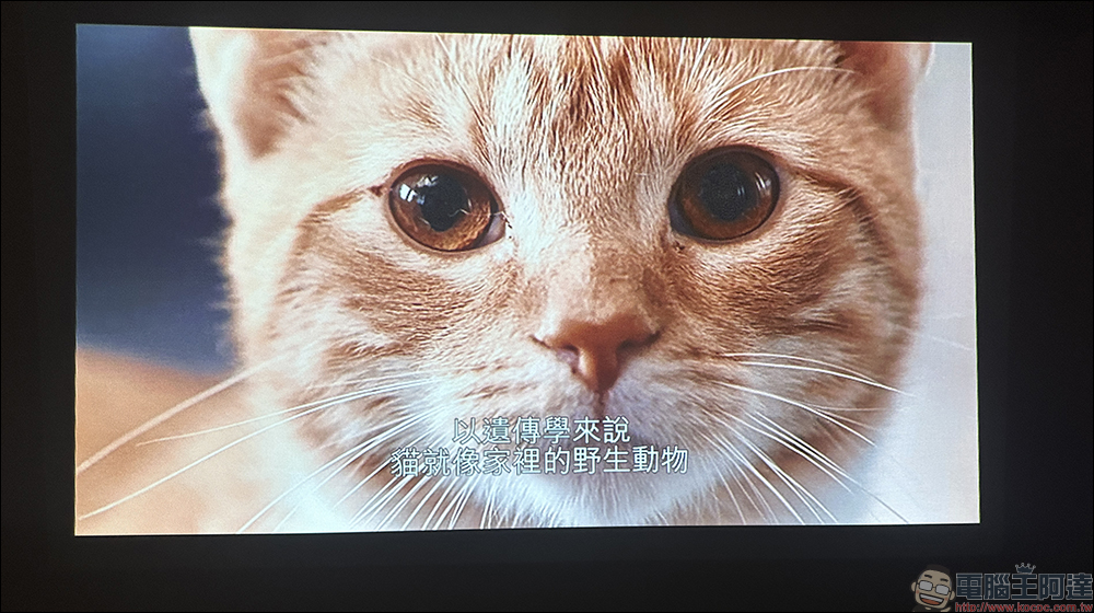 Warpple SP1 Pro 便攜智慧投影機開箱|Pro 版升級 OVO TV OS 、同級頂規,亮度再升級! - 電腦王阿達 Warpple SP1 Pro 便攜智慧投影機開箱|Pro 版升級 OVO TV OS 、同級頂規,亮度再升級! - 電腦王阿達