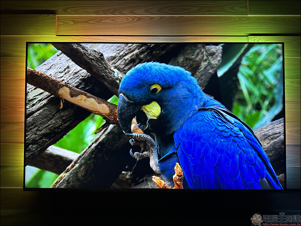飛利浦 Philips 4K 智慧顯示器開箱|4K 絕佳畫質、內建 Android TV 11 系統 ,搭配 Ambilight 帶來無可比擬的沉浸體驗 - 電腦王阿達 飛利浦 Philips 4K 智慧顯示器開箱|4K 絕佳畫質、內建 Android TV 11 系統 ,搭配 Ambilight 帶來無可比擬的沉浸體驗 - 電腦王阿達