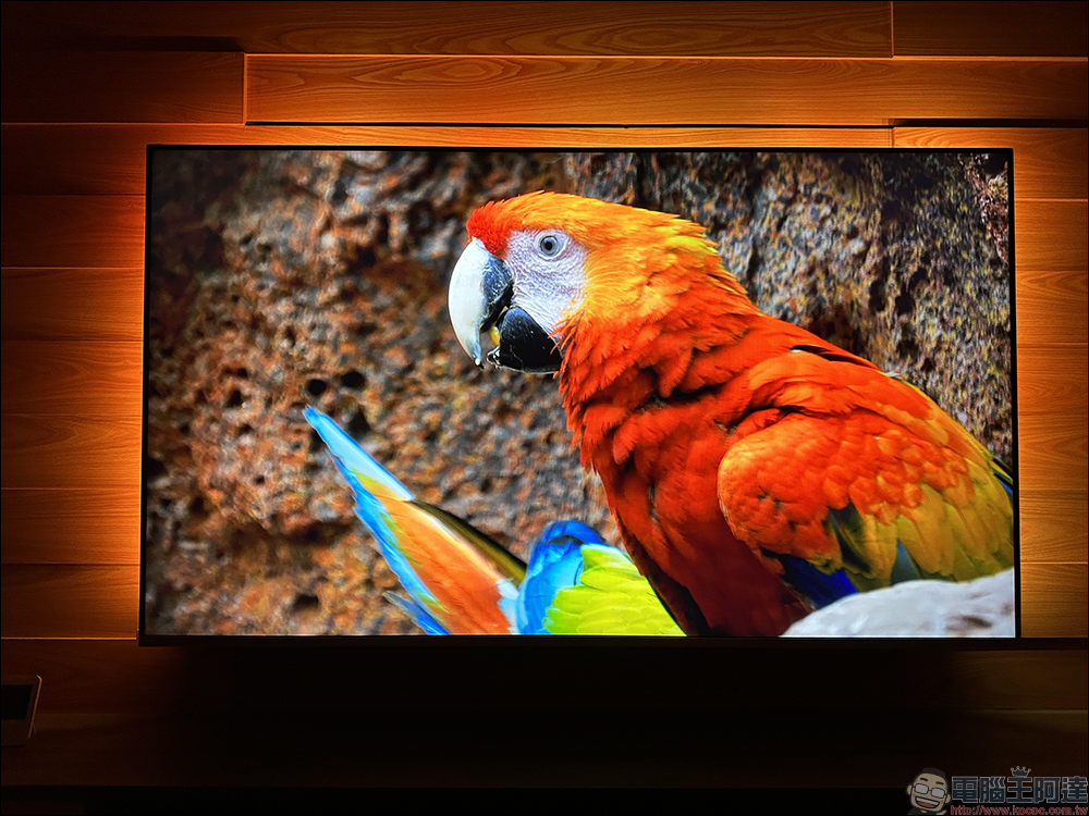 飛利浦 Philips 4K 智慧顯示器開箱｜4K 絕佳畫質、內建 Android TV 11 系統 ，搭配 Ambilight 帶來無可比擬的沉浸體驗 - 電腦王阿達