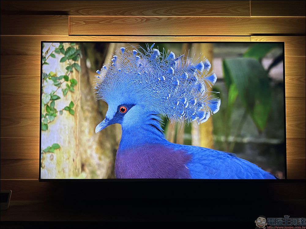 飛利浦 Philips 4K 智慧顯示器開箱|4K 絕佳畫質、內建 Android TV 11 系統 ,搭配 Ambilight 帶來無可比擬的沉浸體驗 - 電腦王阿達 飛利浦 Philips 4K 智慧顯示器開箱|4K 絕佳畫質、內建 Android TV 11 系統 ,搭配 Ambilight 帶來無可比擬的沉浸體驗 - 電腦王阿達