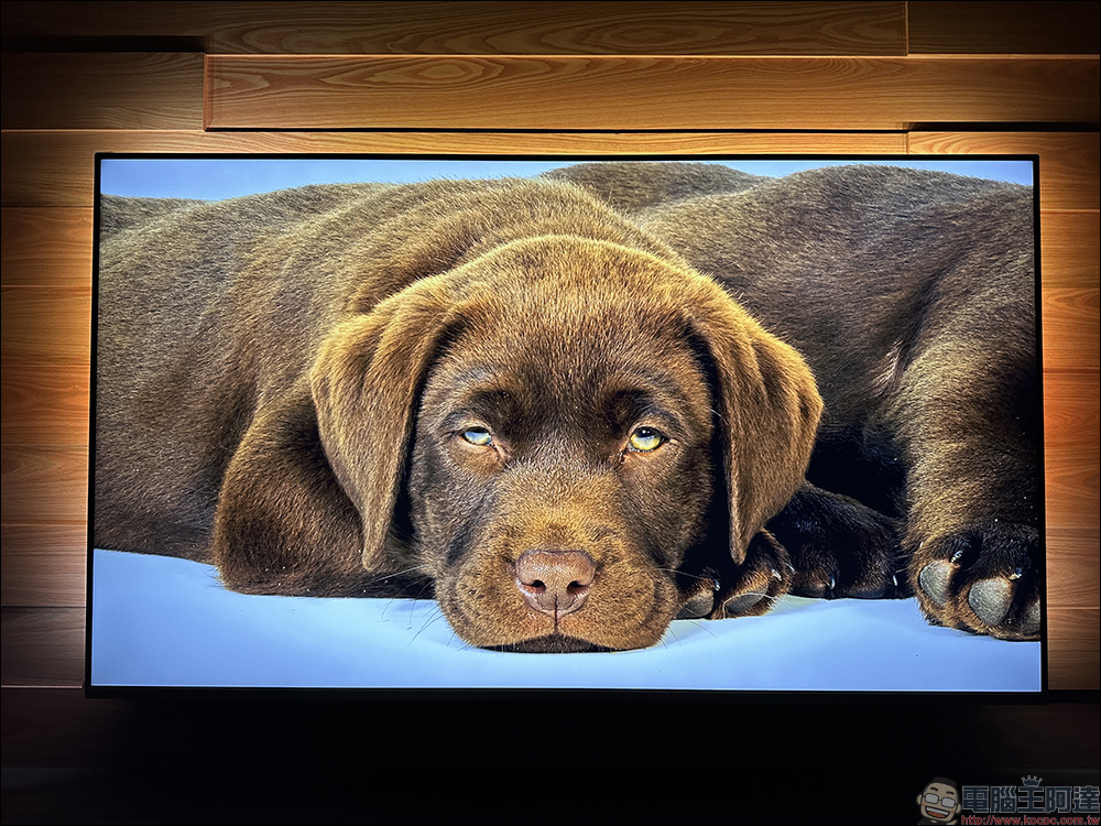 飛利浦 Philips 4K 智慧顯示器開箱|4K 絕佳畫質、內建 Android TV 11 系統 ,搭配 Ambilight 帶來無可比擬的沉浸體驗 - 電腦王阿達 飛利浦 Philips 4K 智慧顯示器開箱|4K 絕佳畫質、內建 Android TV 11 系統 ,搭配 Ambilight 帶來無可比擬的沉浸體驗 - 電腦王阿達