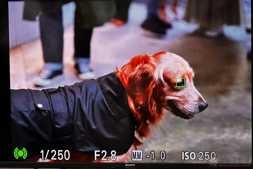 AI 加持微幅調漲,Sony A7R5 全幅無反在台登場動手玩 - 電腦王阿達 AI 加持微幅調漲,Sony A7R5 全幅無反在台登場動手玩 - 電腦王阿達