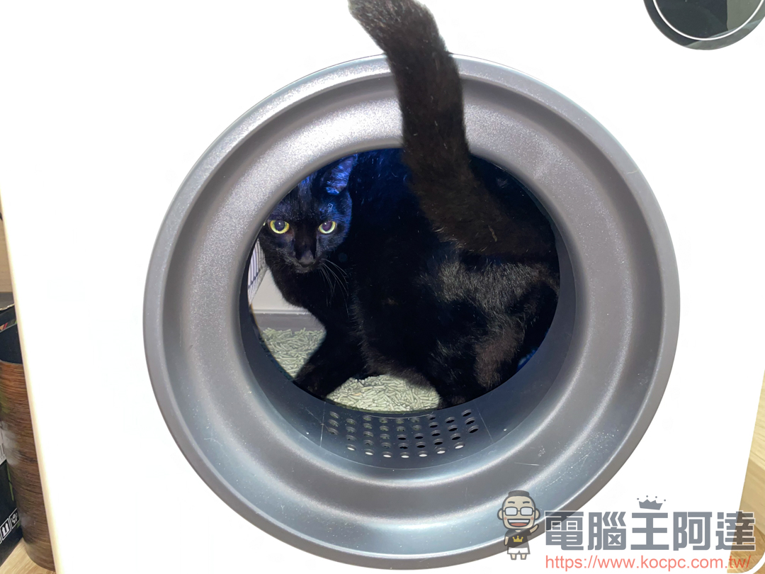 【Pet Marvel全自動智慧貓砂盆】擺脫剷屎官的雙手自由 - 電腦王阿達 【Pet Marvel全自動智慧貓砂盆】擺脫剷屎官的雙手自由 - 電腦王阿達