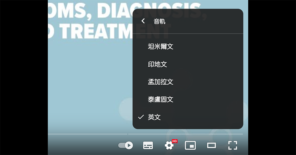 YouTube 啟動多重音軌/多語系 YouTube 啟動多重音軌/多語系