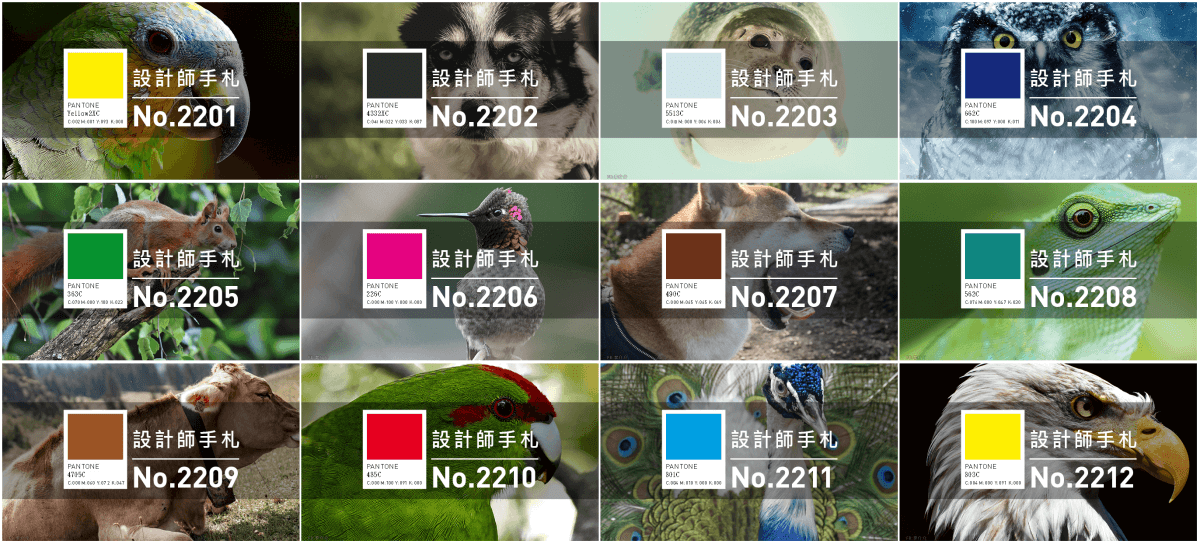 總結2022年的60個免費的網路資源與工具 - 電腦王阿達 李介介2022年設計師手札全集