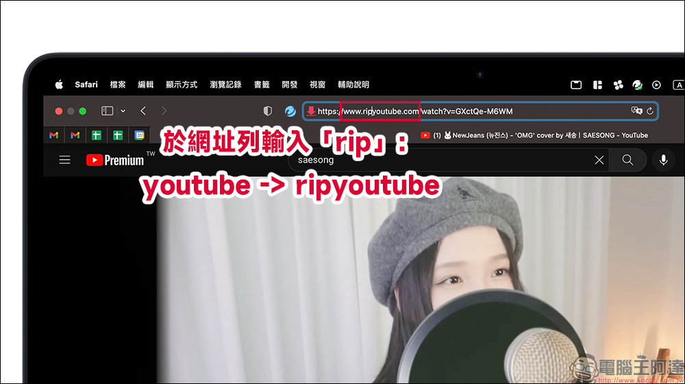 Rip YouTube 免費影片下載工具:支援最高 4K YouTube 影片、音樂免費下載,無廣告、操作超簡單 - 電腦王阿達 Rip YouTube 免費影片下載工具:支援最高 4K YouTube 影片、音樂免費下載,無廣告、操作超簡單 - 電腦王阿達
