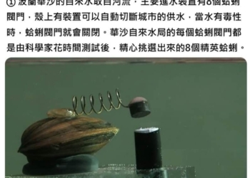 國外自來水水廠利用蛤蜊偵測自來水是否安全? 居然是真的!
