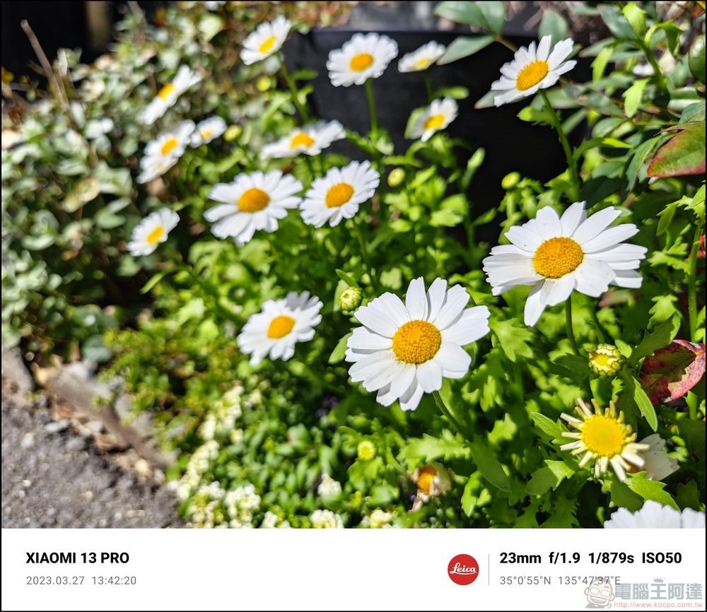 Xiaomi 13 Pro 拍照樣張 - 35 Xiaomi 13 Pro 拍照樣張 - 35