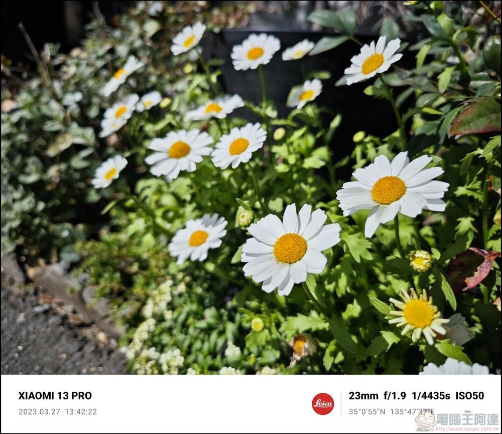 Xiaomi 13 Pro 拍照樣張 - 36 Xiaomi 13 Pro 拍照樣張 - 36
