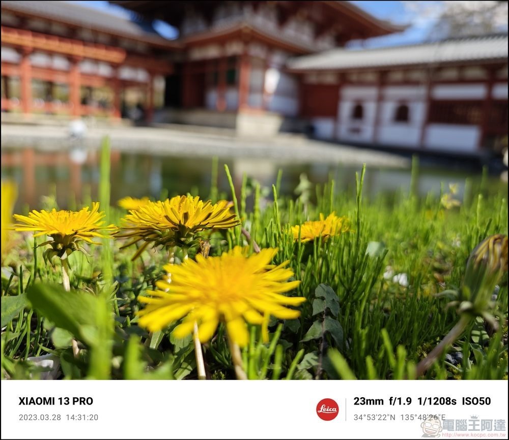 Xiaomi 13 Pro 拍照樣張 - 65 Xiaomi 13 Pro 拍照樣張 - 65