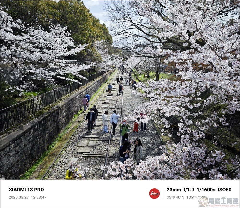 Xiaomi 13 Pro 櫻花拍攝樣張 - 06 Xiaomi 13 Pro 櫻花拍攝樣張 - 06