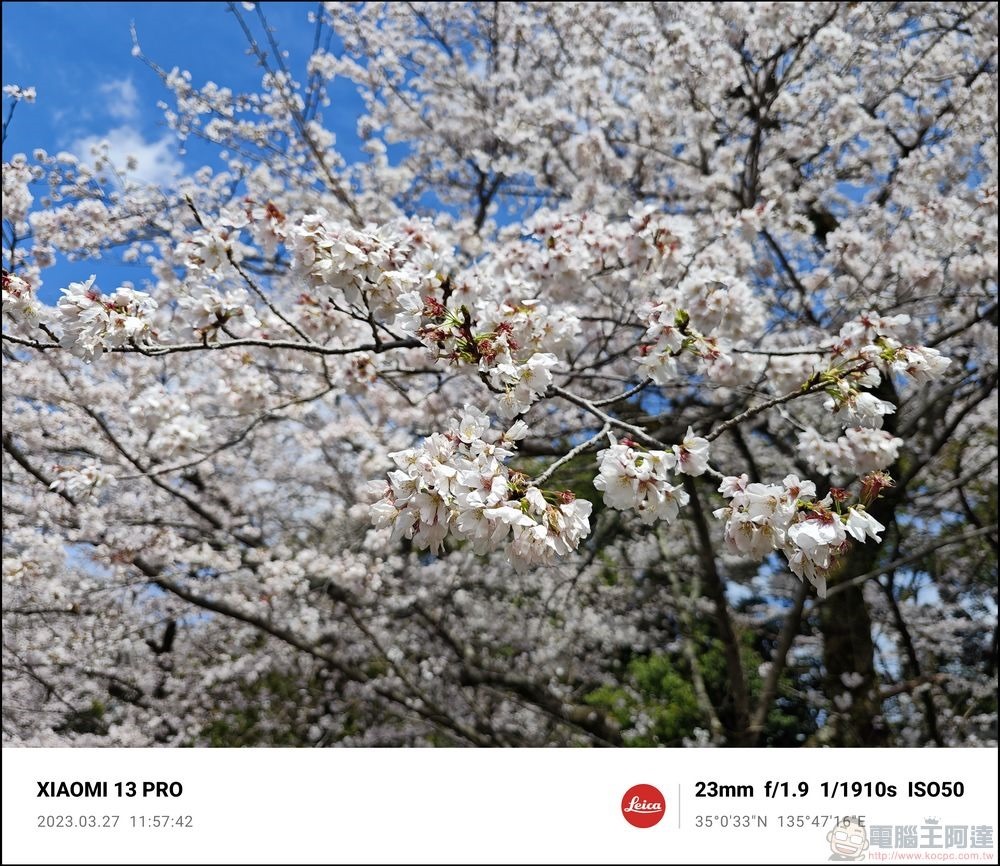 Xiaomi 13 Pro 櫻花拍攝樣張 - 13 Xiaomi 13 Pro 櫻花拍攝樣張 - 13