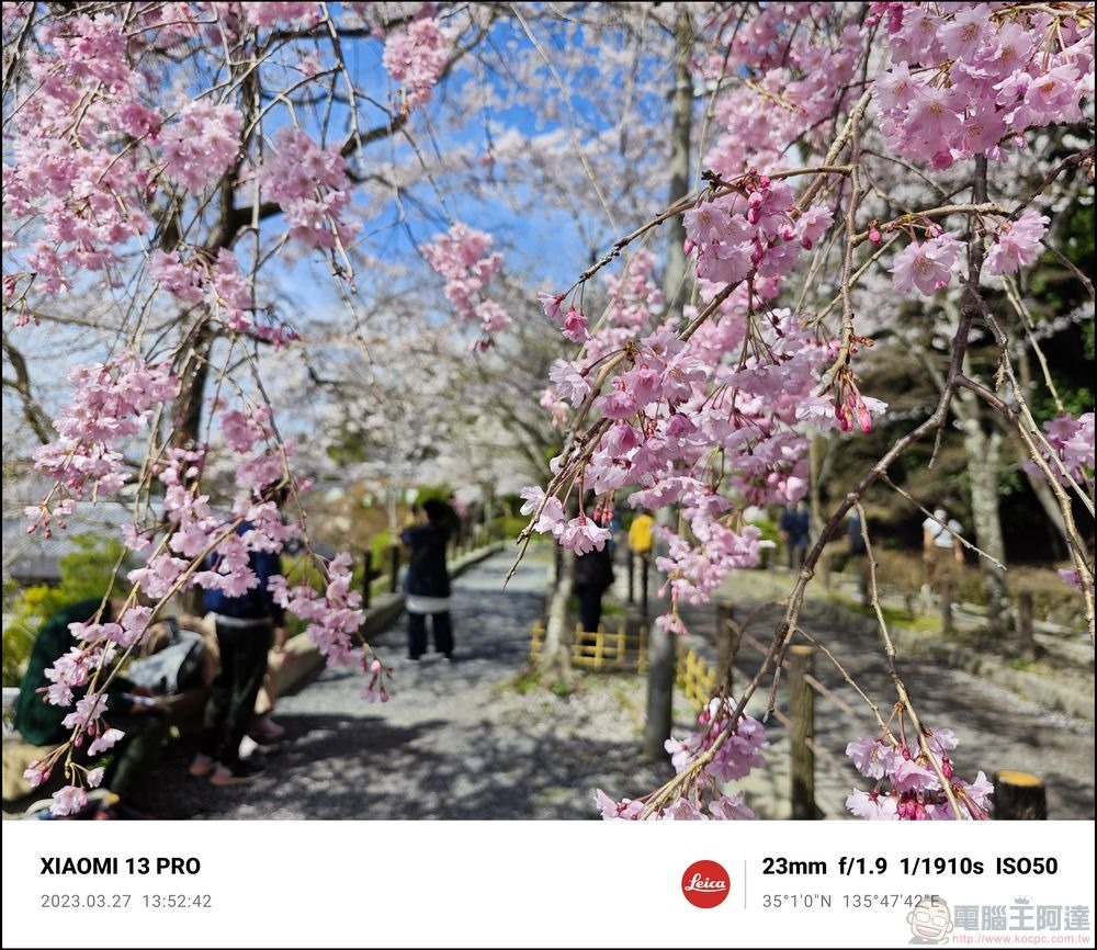 Xiaomi 13 Pro 櫻花拍攝樣張 - 15 Xiaomi 13 Pro 櫻花拍攝樣張 - 15