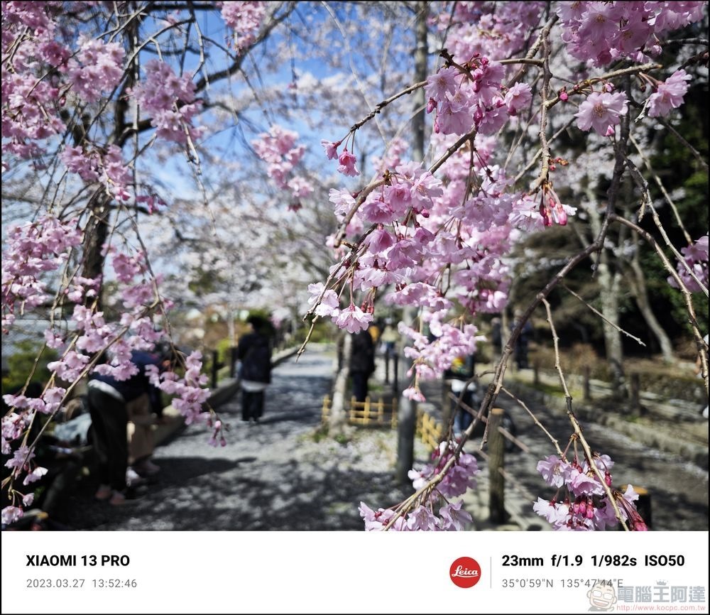 Xiaomi 13 Pro 櫻花拍攝樣張 - 16 Xiaomi 13 Pro 櫻花拍攝樣張 - 16