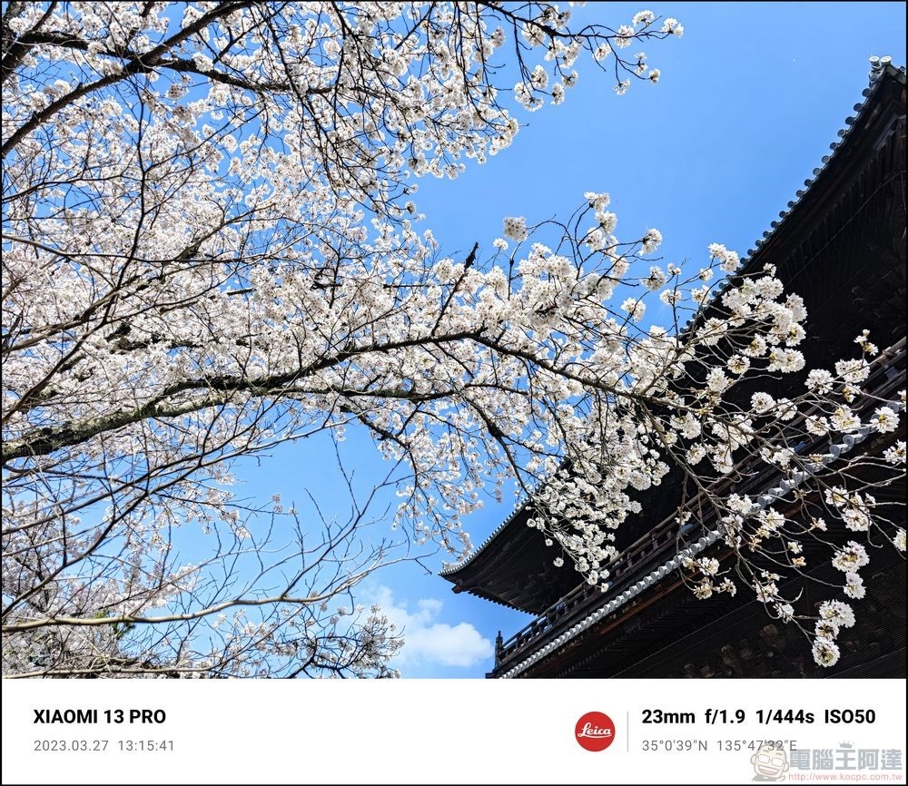 Xiaomi 13 Pro 櫻花拍攝樣張 - 19