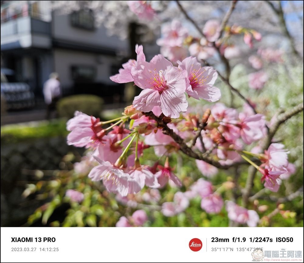 Xiaomi 13 Pro 櫻花拍攝樣張 - 21 Xiaomi 13 Pro 櫻花拍攝樣張 - 21