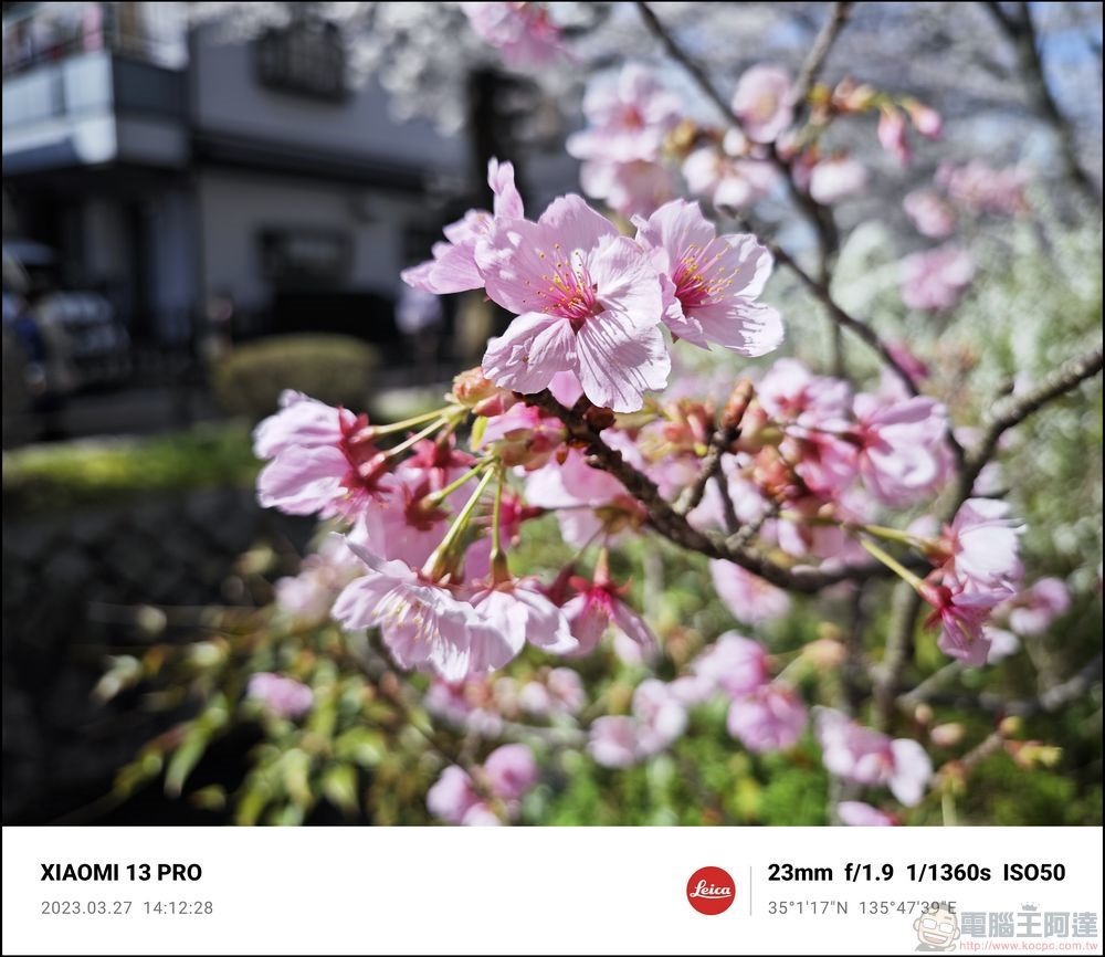 Xiaomi 13 Pro 櫻花拍攝樣張 - 22 Xiaomi 13 Pro 櫻花拍攝樣張 - 22