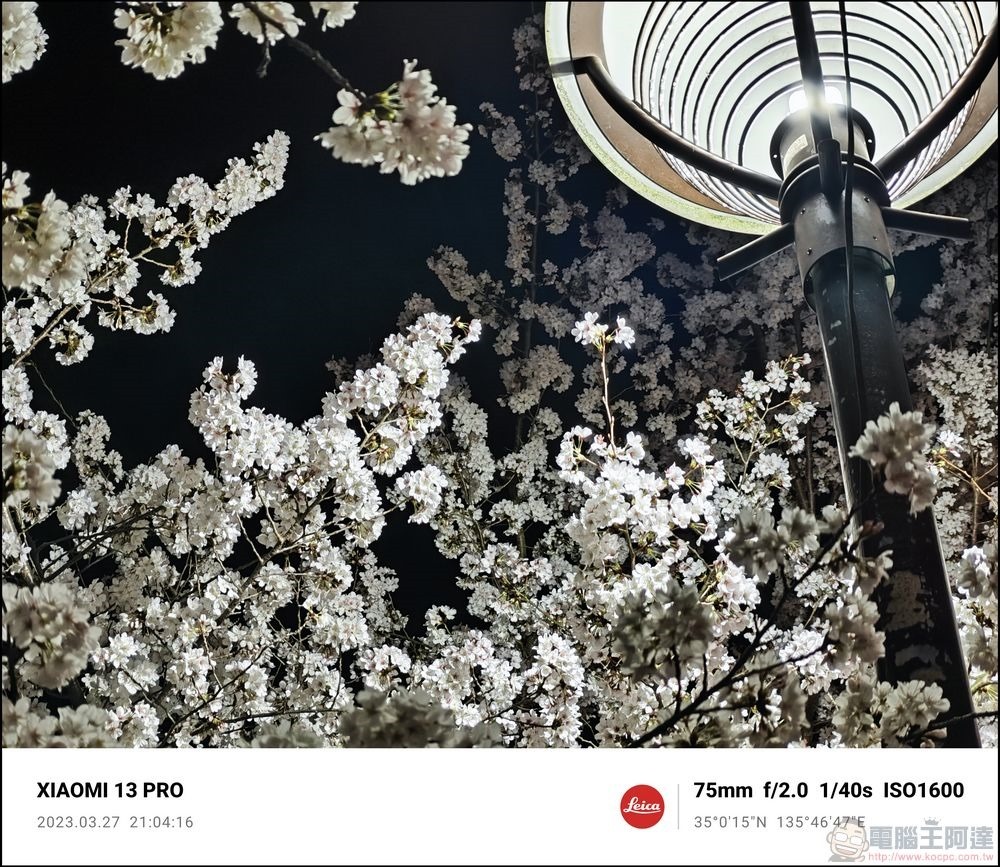 Xiaomi 13 Pro 櫻花拍攝樣張 - 33 Xiaomi 13 Pro 櫻花拍攝樣張 - 33