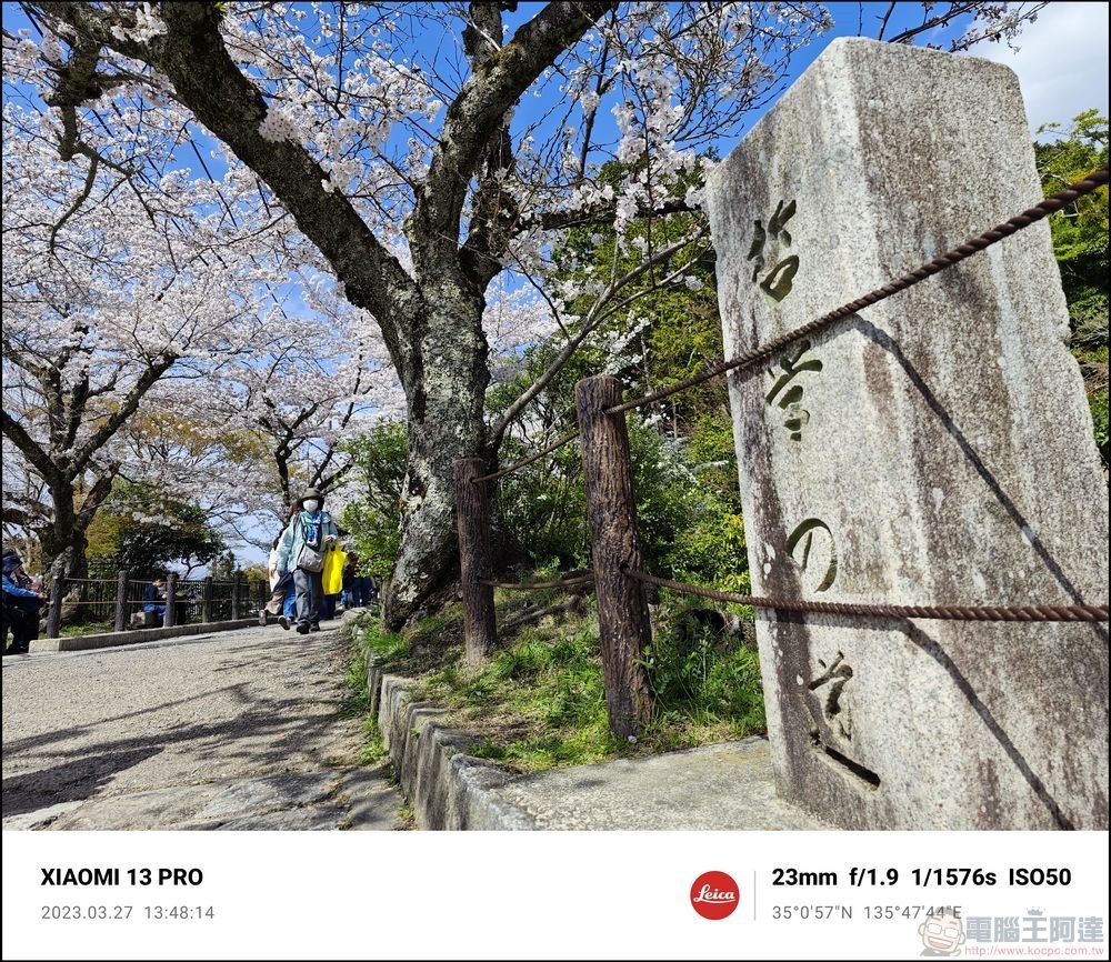 Xiaomi 13 Pro 櫻花拍攝樣張 - 37 Xiaomi 13 Pro 櫻花拍攝樣張 - 37