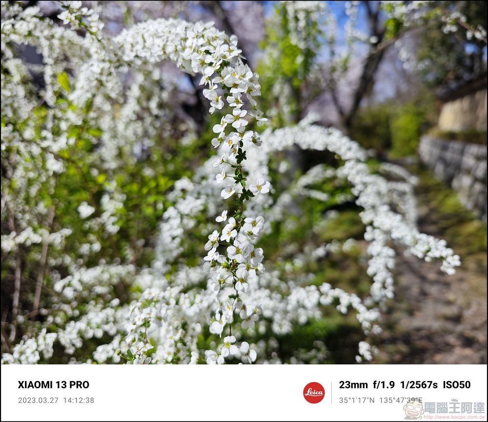 Xiaomi 13 Pro 櫻花拍攝樣張 - 38 Xiaomi 13 Pro 櫻花拍攝樣張 - 38