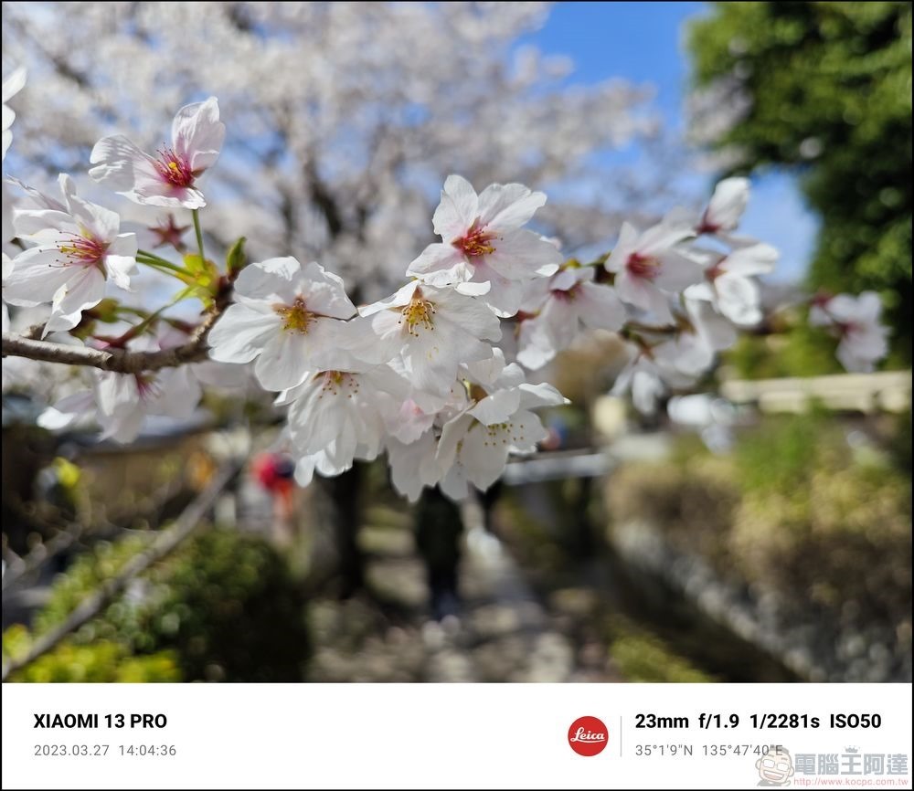 Xiaomi 13 Pro 櫻花拍攝樣張 - 39 Xiaomi 13 Pro 櫻花拍攝樣張 - 39