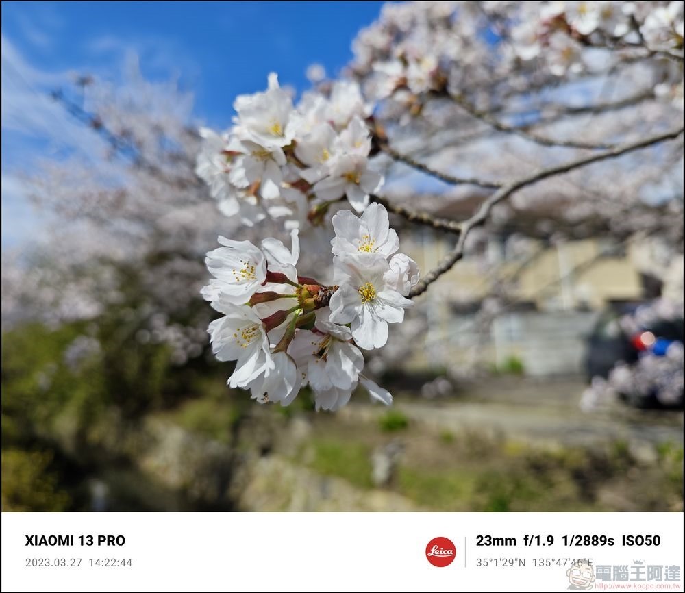 Xiaomi 13 Pro 櫻花拍攝樣張 - 40 Xiaomi 13 Pro 櫻花拍攝樣張 - 40