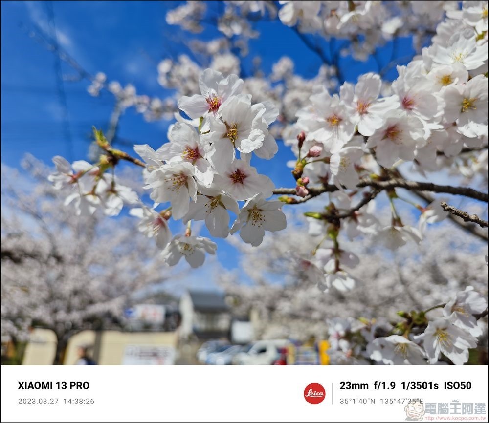 Xiaomi 13 Pro 櫻花拍攝樣張 - 41 Xiaomi 13 Pro 櫻花拍攝樣張 - 41