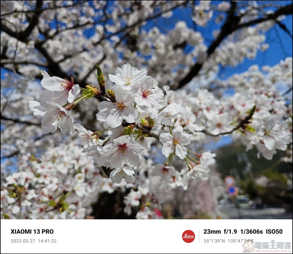 Xiaomi 13 Pro 櫻花拍攝樣張 - 42 Xiaomi 13 Pro 櫻花拍攝樣張 - 42