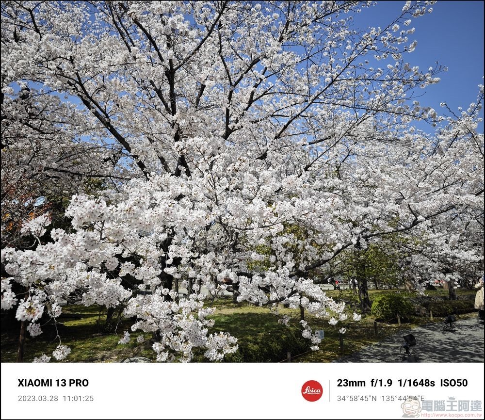 Xiaomi 13 Pro 櫻花拍攝樣張 - 45 Xiaomi 13 Pro 櫻花拍攝樣張 - 45