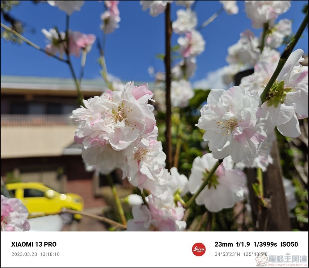 Xiaomi 13 Pro 櫻花拍攝樣張 - 46 Xiaomi 13 Pro 櫻花拍攝樣張 - 46