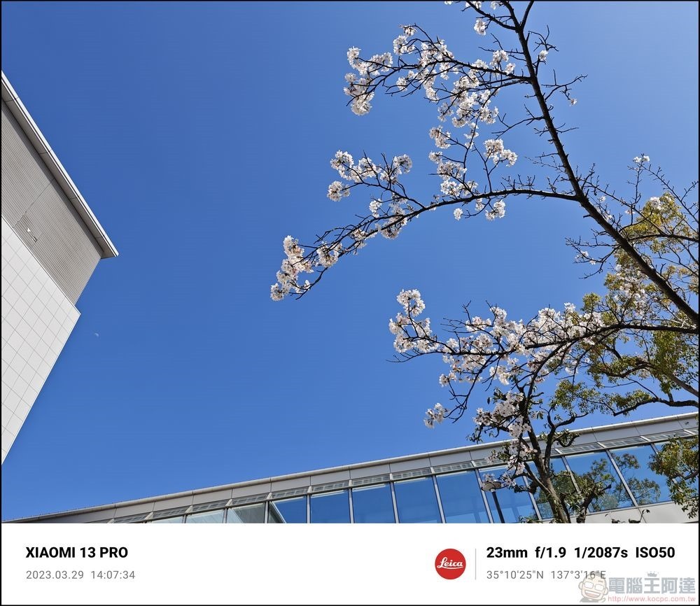 Xiaomi 13 Pro 櫻花拍攝樣張 - 55 Xiaomi 13 Pro 櫻花拍攝樣張 - 55