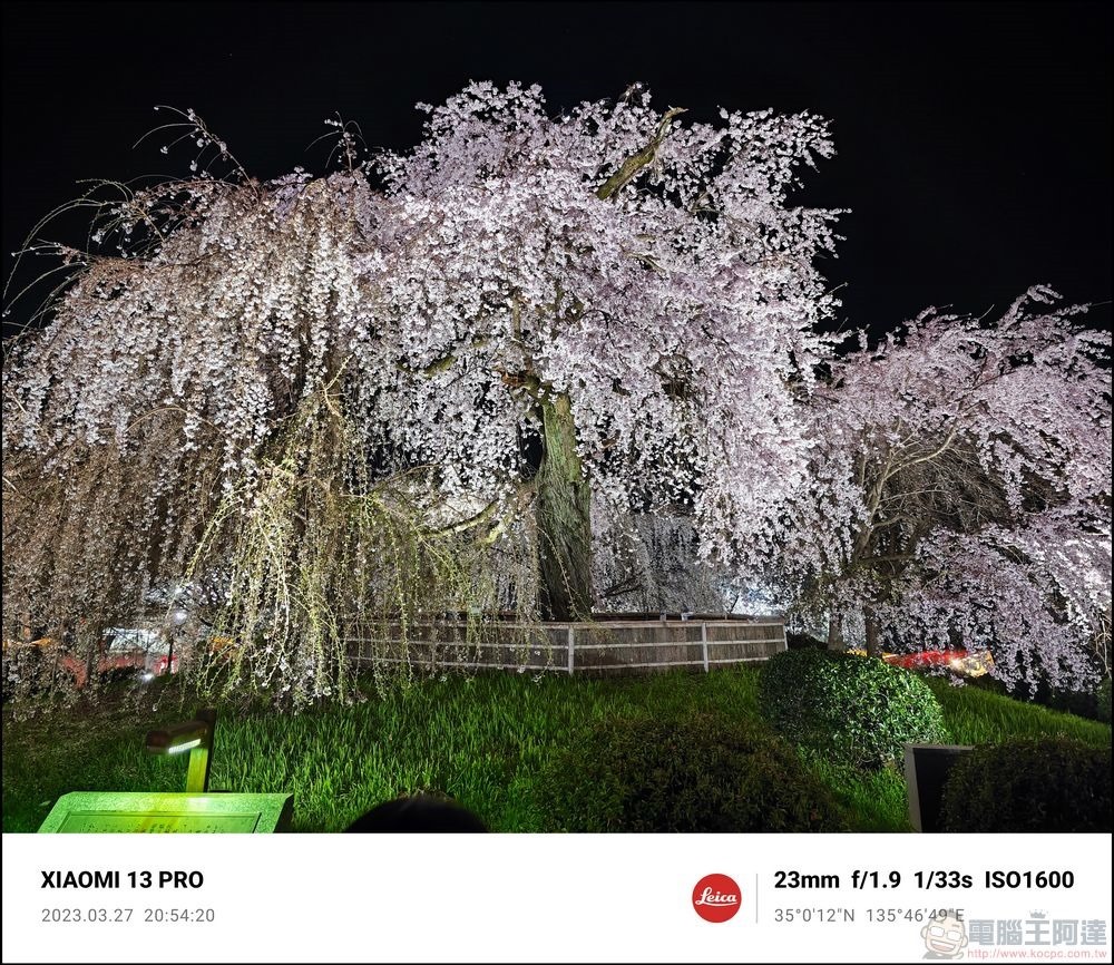 Xiaomi 13 Pro 櫻花拍攝樣張 - 62 Xiaomi 13 Pro 櫻花拍攝樣張 - 62