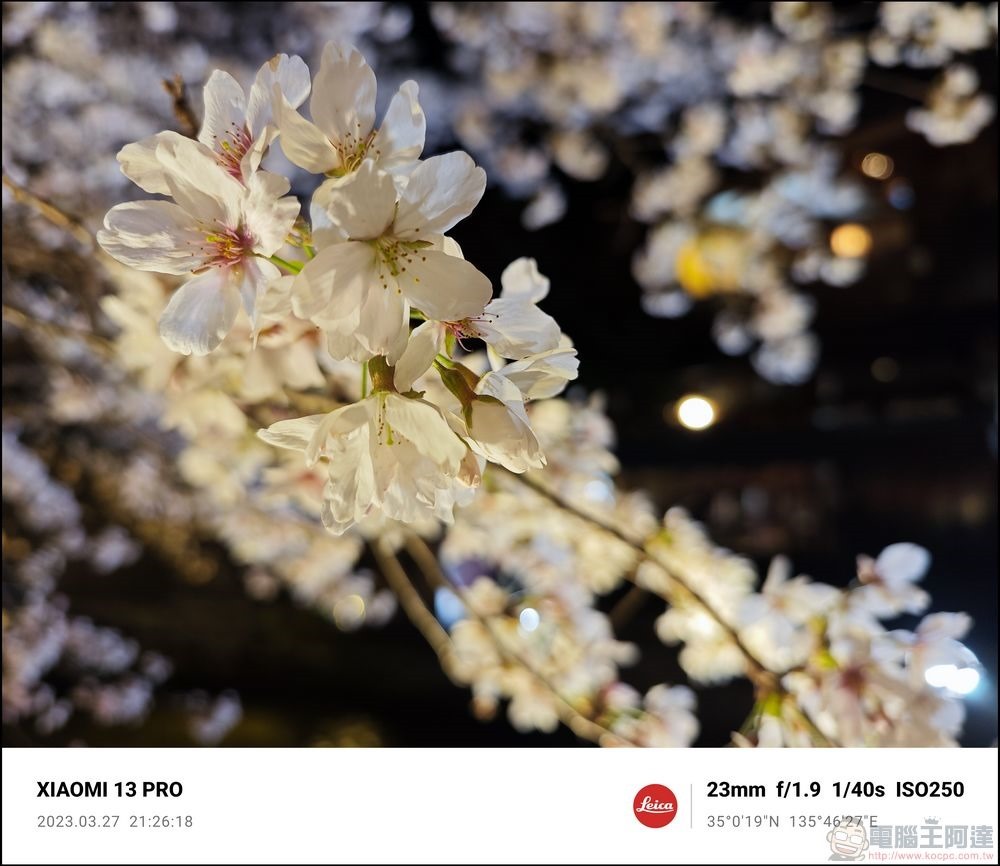 Xiaomi 13 Pro 櫻花拍攝樣張 - 64 Xiaomi 13 Pro 櫻花拍攝樣張 - 64