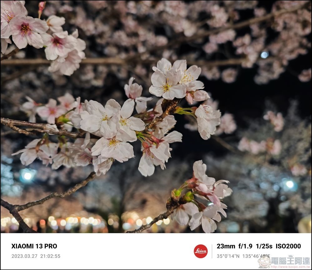Xiaomi 13 Pro 櫻花拍攝樣張 - 65 Xiaomi 13 Pro 櫻花拍攝樣張 - 65