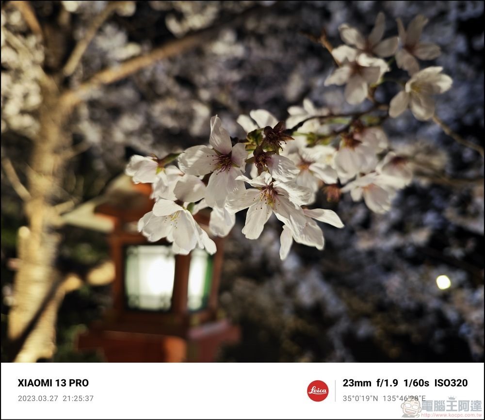 Xiaomi 13 Pro 櫻花拍攝樣張 - 67 Xiaomi 13 Pro 櫻花拍攝樣張 - 67