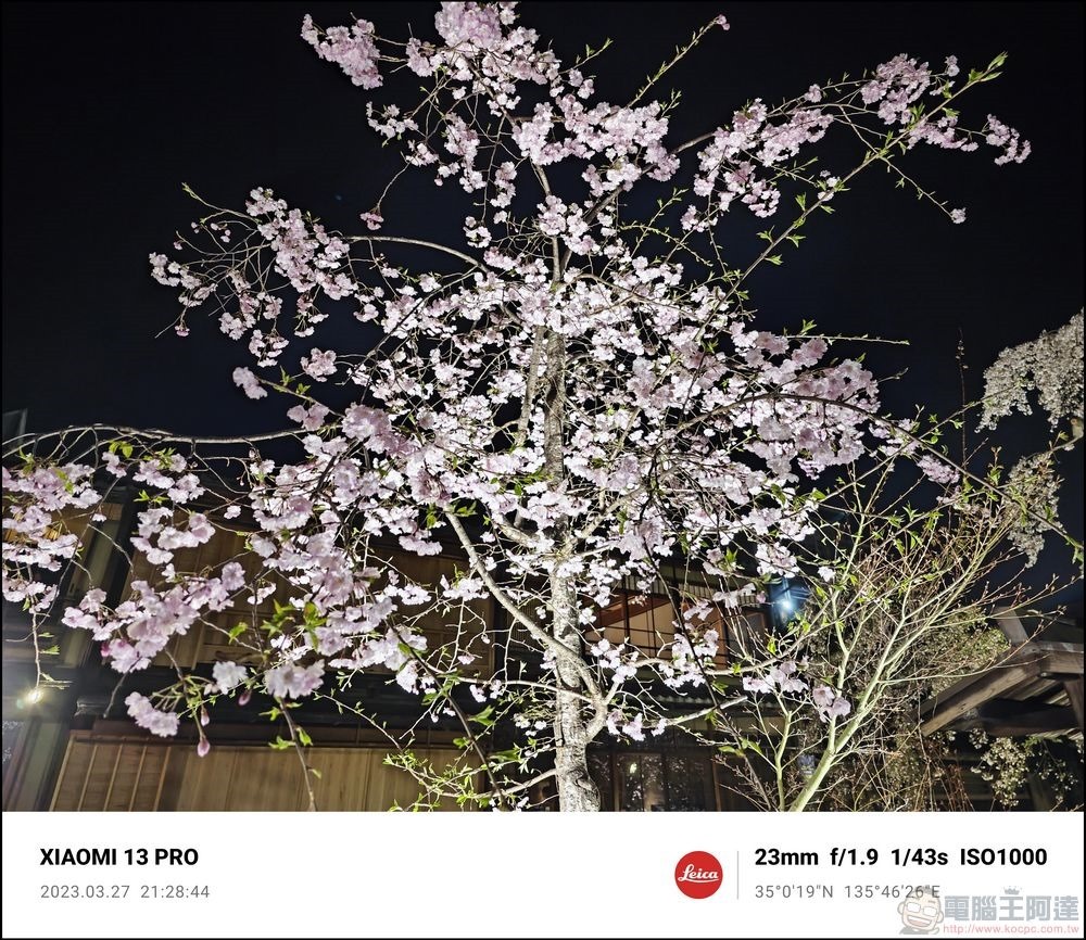 Xiaomi 13 Pro 櫻花拍攝樣張 - 68 Xiaomi 13 Pro 櫻花拍攝樣張 - 68